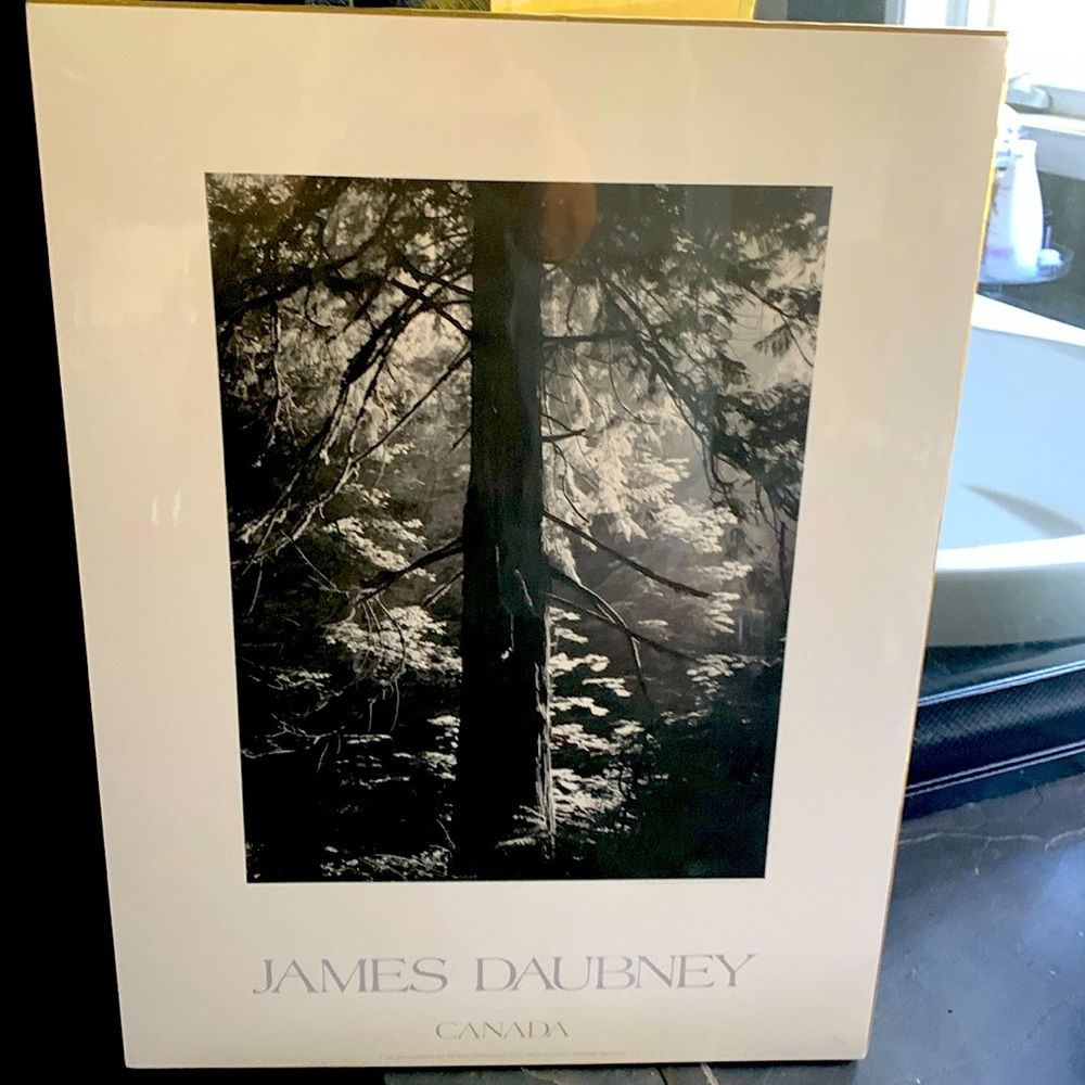 James Daubney photo. Shot in Banff. Black and white. Shrink wrapped